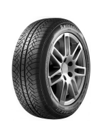 Шина Autogreen WL2