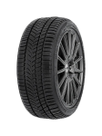 Шина Autogreen WL5