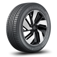 Шина FORCELAND Vitality HT EV W-SILENT