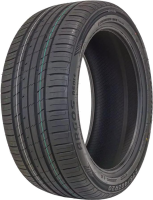 Шина Roadking ARGOS RS01 plus