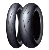 Шина Dunlop Sportmax GPRa-14