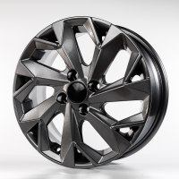 Диск Carwel Вага 1402 (X-Ray-Logan-Coralla) цвет:GRT