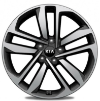 Диск Carwel Шунет 1612 цвет:AGR