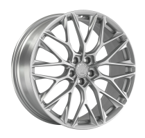 Диск LS Forged FG10Y  цвет:SS