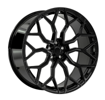 Диск LS Forged FG13Y