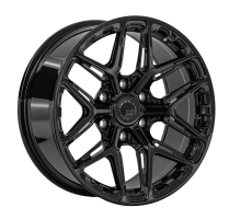 Диск LS Forged FG53 цвет:BK