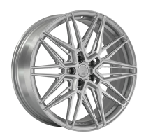 Диск LS Forged FG58 цвет:SS