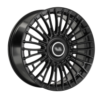 Диск LS Forged FG25 цвет:BKS